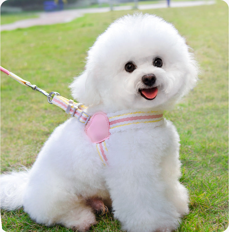 Pet Summer Breathable Leash