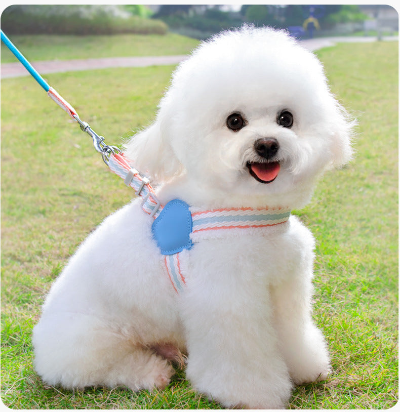 Pet Summer Breathable Leash