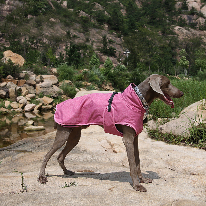 Pet Shell Jacket