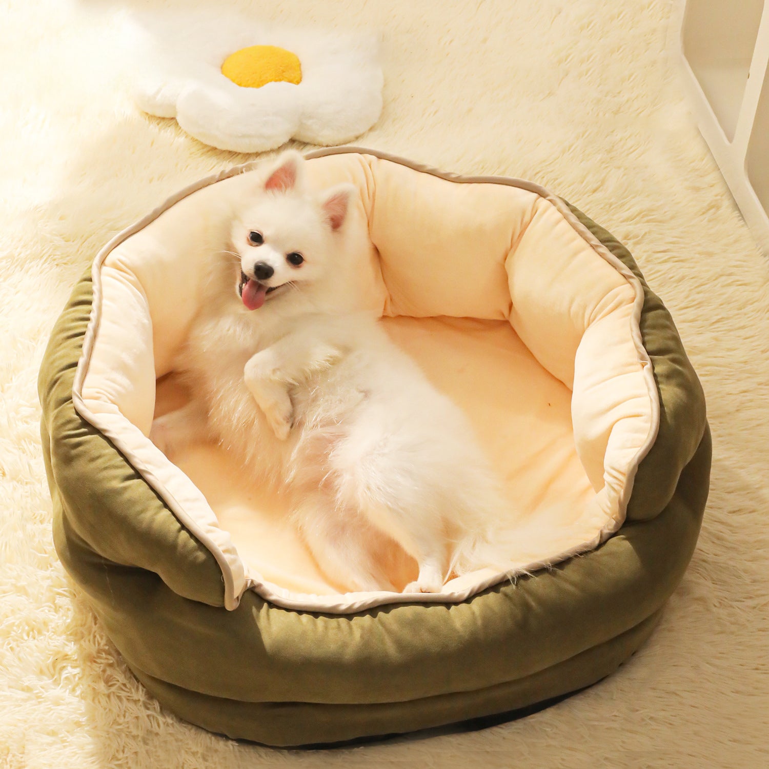 Pet Sofa Bed