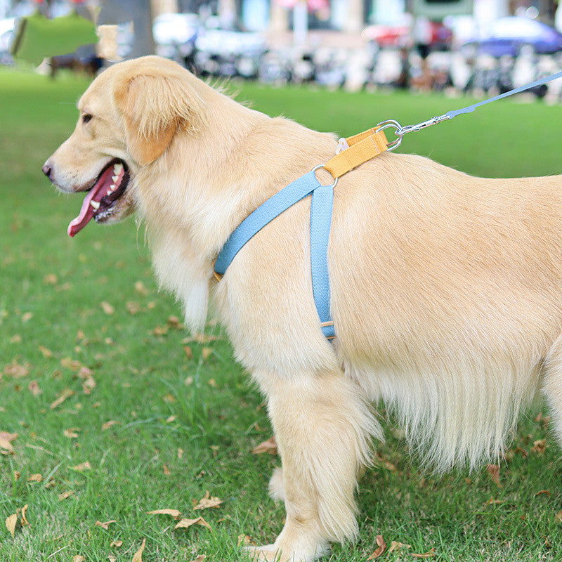 Color Pet Drawstring Leash