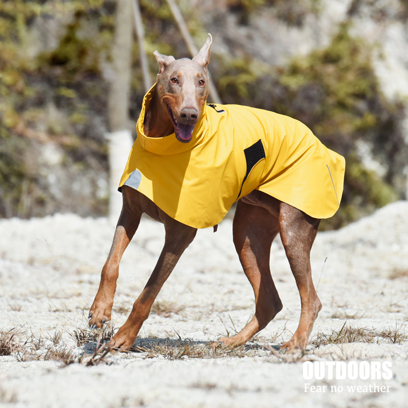 Pet Shell Waterproof Windproof Raincoat