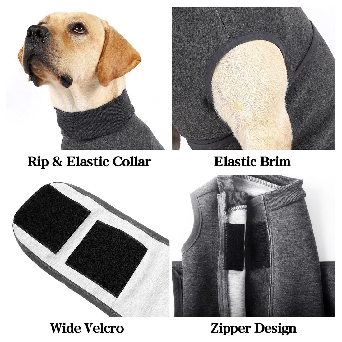 Pet Polyester Emotional Comfort Cotton Jacket