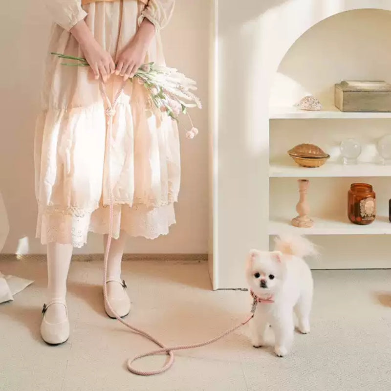 Pet Leather Hand Holding Leash
