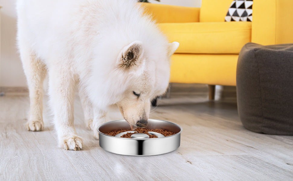 Pet Slow Feeding Bowl