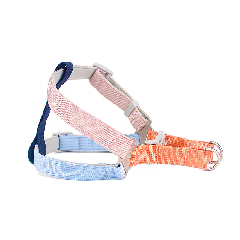 Colorful Outing Dog Leash Pet Supplies